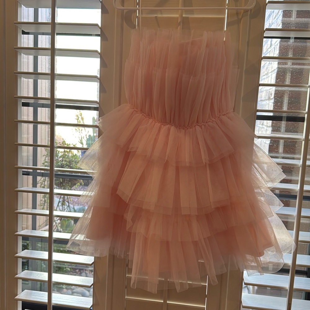 NWT Francesca’s Strapless Pink Tulle Dress